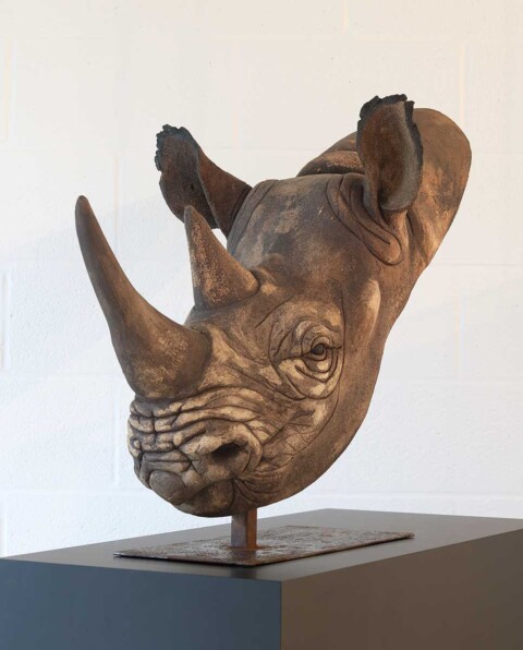 Tête de Rhino