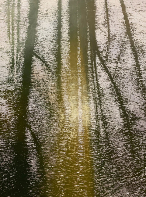 Au grés des ondes