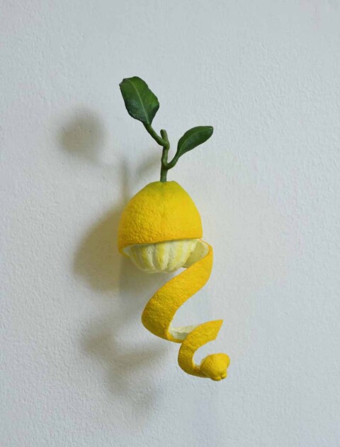 Curly Lemon #75