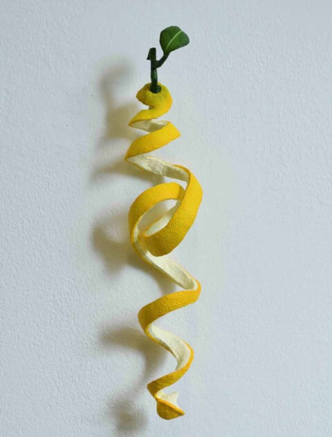 Curly Lemon #76